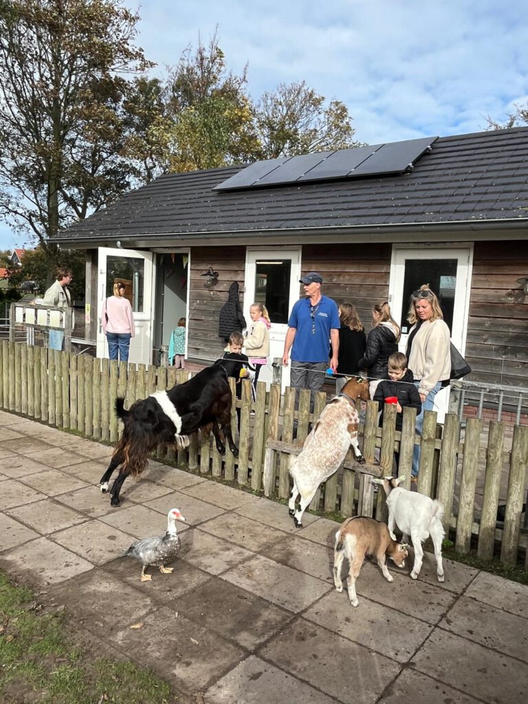 Afbeelding van WhatsApp op 2025-10-22 om 17.12.58_3bfa6cad