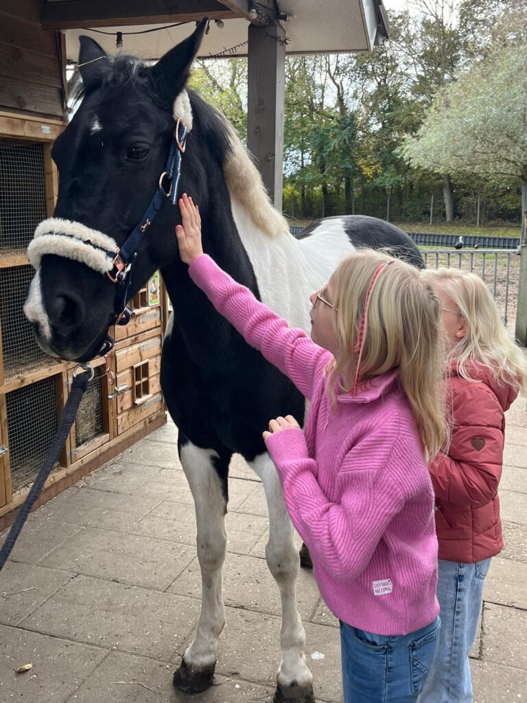 Afbeelding van WhatsApp op 2025-10-22 om 17.12.59_0b75fe1d