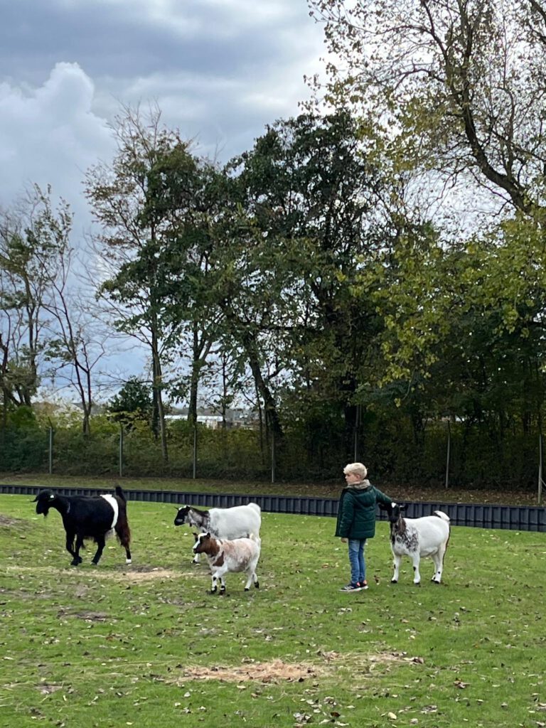 Afbeelding van WhatsApp op 2025-10-22 om 17.13.00_074e6ad4