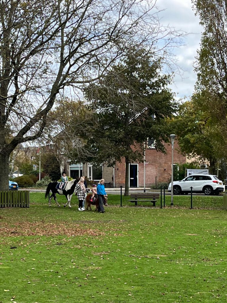 Afbeelding van WhatsApp op 2025-10-22 om 17.13.00_8a932eea