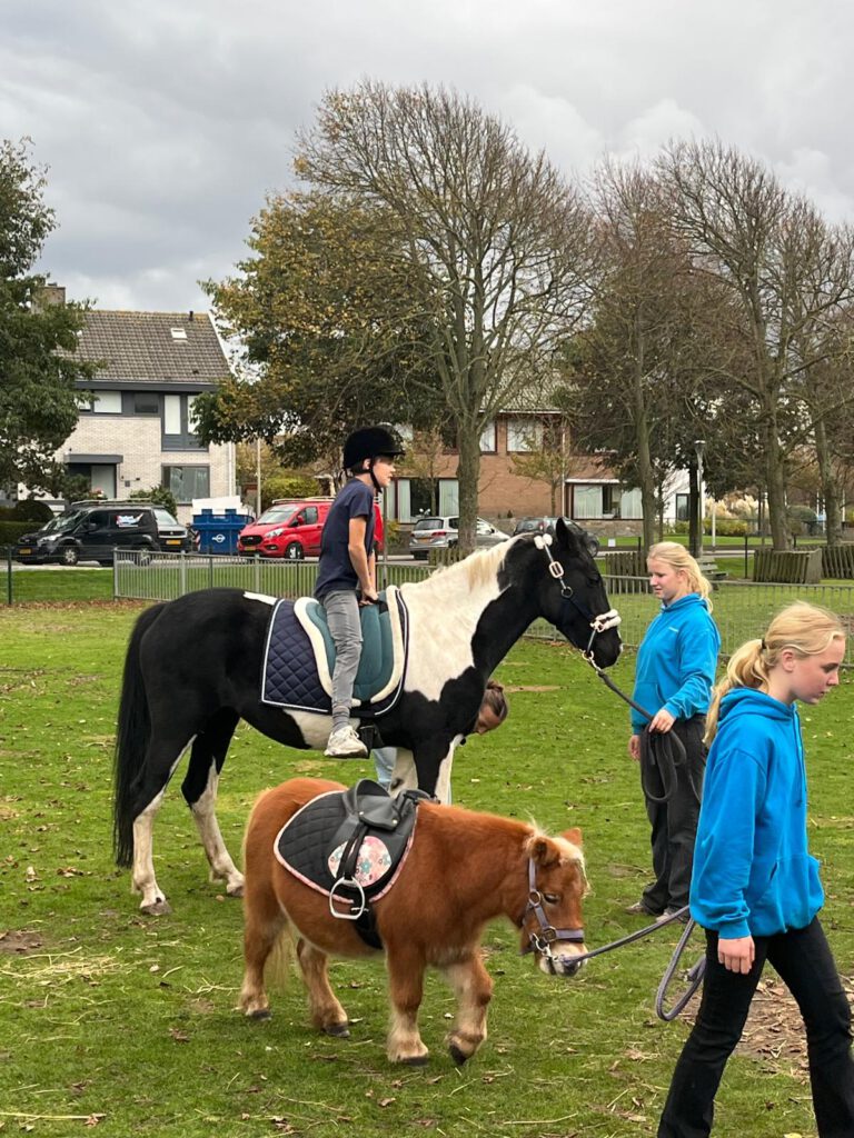 Afbeelding van WhatsApp op 2025-10-22 om 17.13.00_97f3bf27