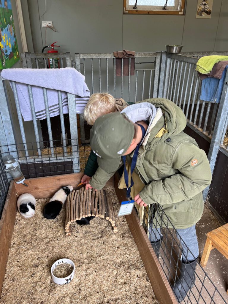 Afbeelding van WhatsApp op 2025-10-22 om 17.13.00_af89188d