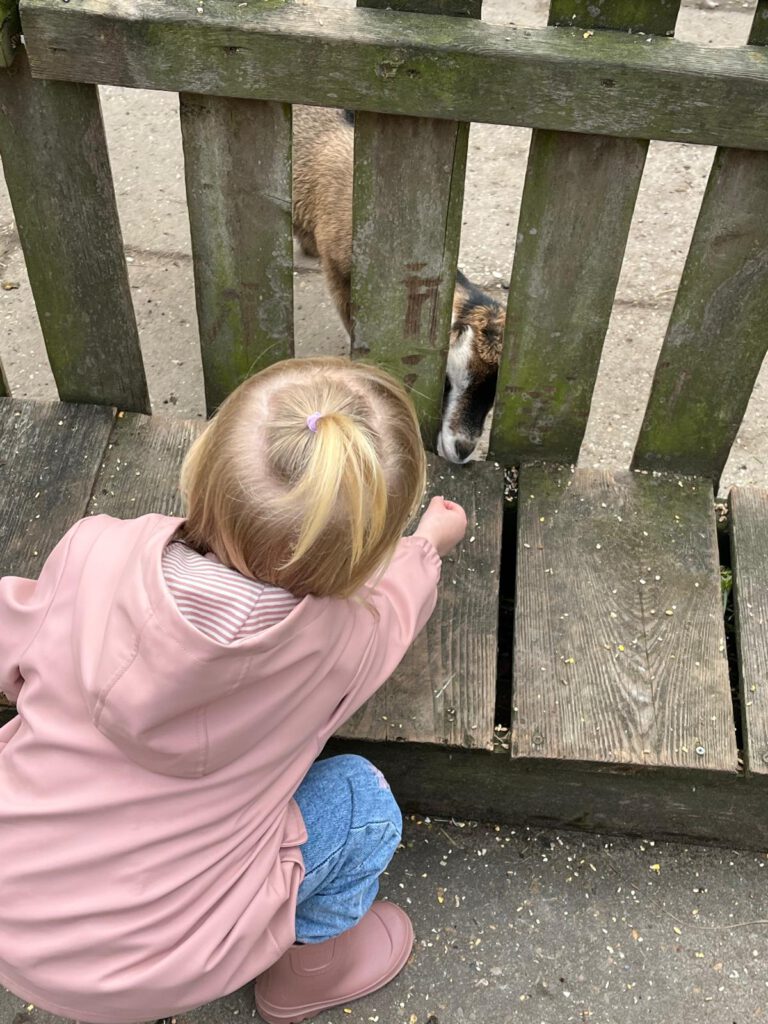 Afbeelding van WhatsApp op 2025-10-22 om 17.13.00_fe329821