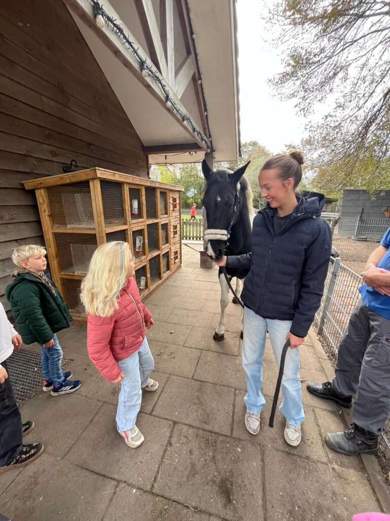 Afbeelding van WhatsApp op 2025-10-22 om 21.31.51_a59b6e99